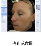 VISIA沿Dxa(chn)ƷB